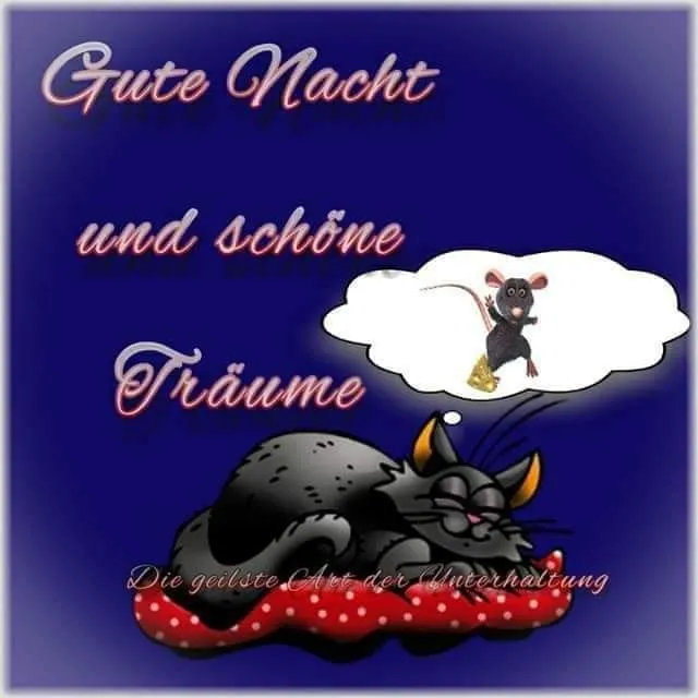 Schlafende schwarze Katze auf rotem Kissen mit Traumbild einer Maus. Text: Gute Nacht.