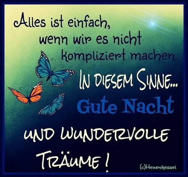 Text mit blauen und grünen Schmetterlingen und dem Schriftzug „Gute Nacht und wundervolle Träume“.
