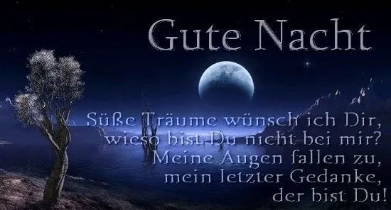 Nachtlandschaft mit Mond, Text: „Gute Nacht, süße Träume wünsch ich dir.“