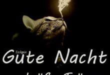 ᐅ gute nacht bilder furs handy - Karneval GB Pics