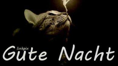 ᐅ gute nacht bilder furs handy - Gute Nacht GB Pics