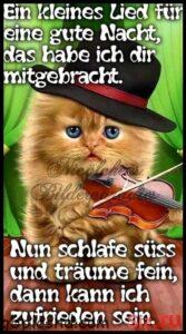 gute nacht bilder lustig 4