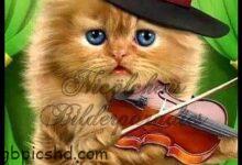 ᐅ gute nacht bilder lustig 4 - Pfingsten bilder GB Pics