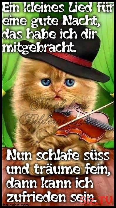 gute nacht bilder lustig 4