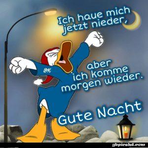 Gute nacht bilder lustig kostenlos