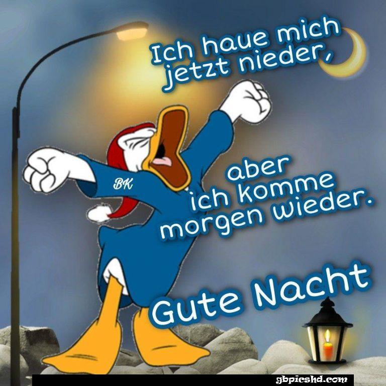 Gute nacht bilder lustig kostenlos