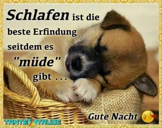 Gute nacht bilder lustig kostenlos 014