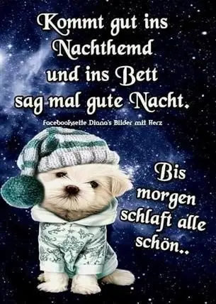 Gute nacht bilder lustig kostenlos 024