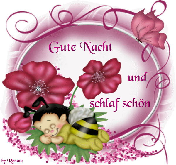 Tiere Kussnacht Tiere Gute Nacht Kuss