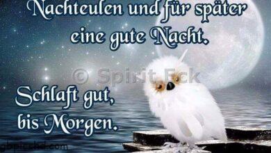 ᐅ guten abend gute nacht bilder 2 - Gute Nacht GB Pics