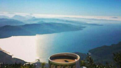 ᐅ guten-morgen 41 - Guten Morgen GB Pics