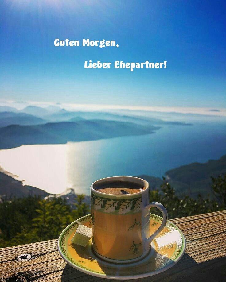 guten-morgen 41