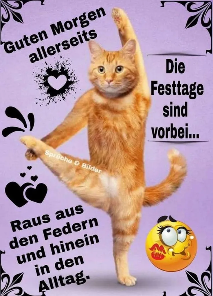 Eine tanzende orangefarbene Katze mit einem Spruch über den Alltag.