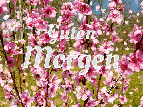 Guten morgen bilder fur whatsapp 030