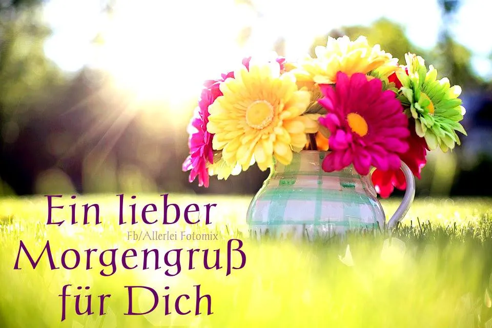 Bunte Blumen in einer weißen Vase auf grünem Gras. Sonnenlicht im Hintergrund.