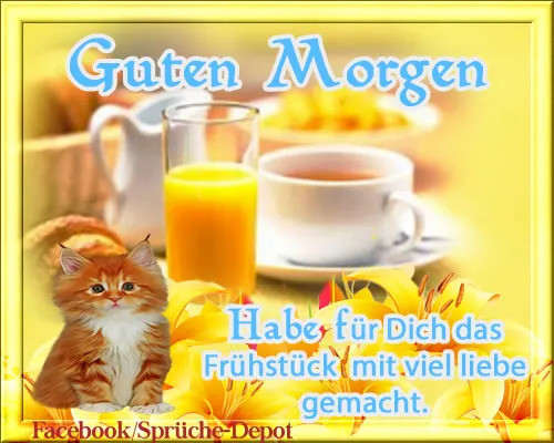 Ein Frühstückstisch mit Orangensaft, Kaffee und einem Kätzchen im Vordergrund.