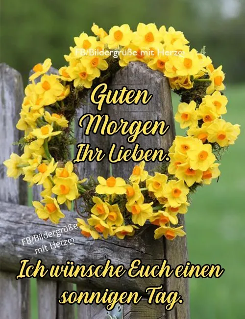 Ein blühender Kranz aus gelben Narzissen an einem Holzzaun. Text: Guten Morgen.