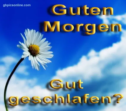 Weiße Blume auf blauem Hintergrund mit dem Text "Guten Morgen" und "Gut geschlafen?"