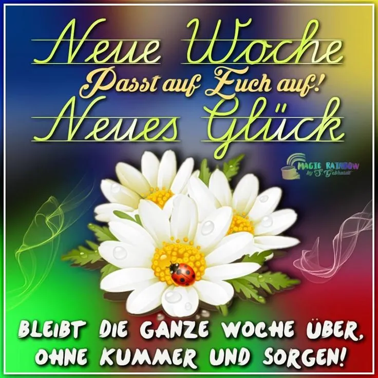 Text mit Spruch über eine neue Woche, umgeben von weißen Blüten und einem Marienkäfer.
