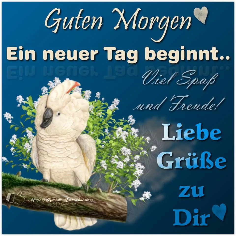 Guten Morgen. Ein Kakadu sitzt auf einem Ast, umgeben von Blumen.