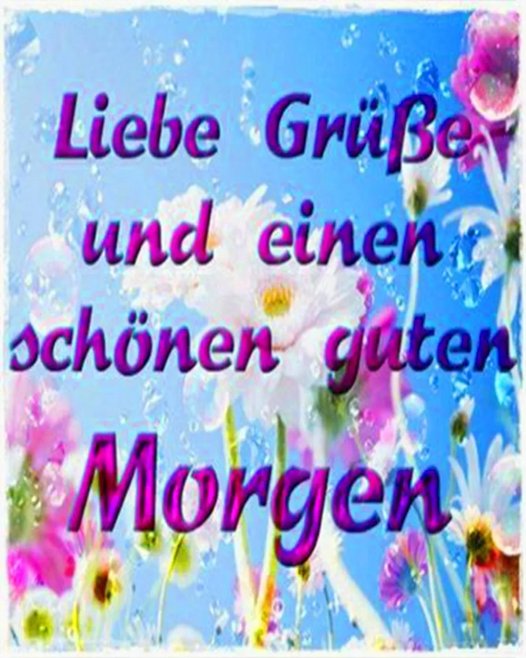 Bunte Blumen mit dem Text "Liebe Grüße und einen schönen guten Morgen".