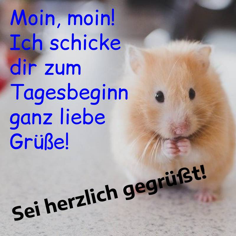Guten morgen grue 007