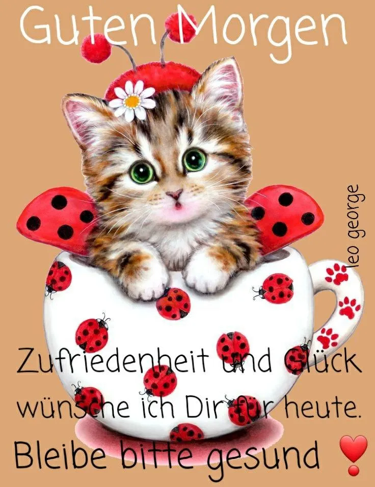 Kätzchen in einer Tasse mit Marienkäfern und dem Text „Guten Morgen“.