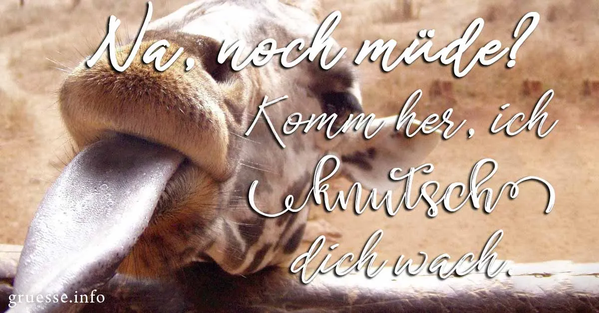 Nahaufnahme eines Giraffenkopfs mit herausgestreckter Zunge und beschriftetem Text.