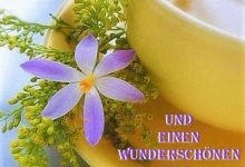ᐅ guten morgen guten morgen notitle 3 - Prüfung GB Pics