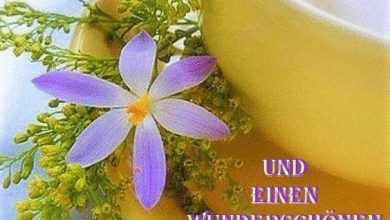 ᐅ guten morgen guten morgen notitle 3 - Guten Morgen GB Pics