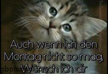 ᐅ guten morgen ihr lieben auch wenn ich den montag nicht so mag wunsch ich dir - Donnerstag GB Pics