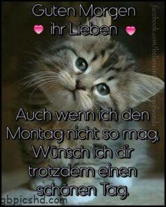 guten morgen ihr lieben auch wenn ich den montag nicht so mag wunsch ich dir