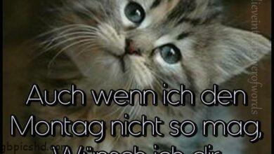ᐅ guten morgen ihr lieben auch wenn ich den montag nicht so mag wunsch ich dir - Guten Morgen GB Pics