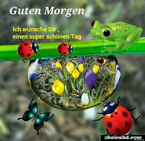 Grüne Frösche und Marienkäfer umgeben bunte Blumen im Garten. Text: Guten Morgen.