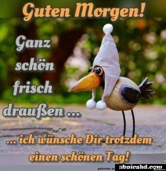 Ein Vogel mit einer Mütze sagt "Guten Morgen" und wünscht einen schönen Tag.