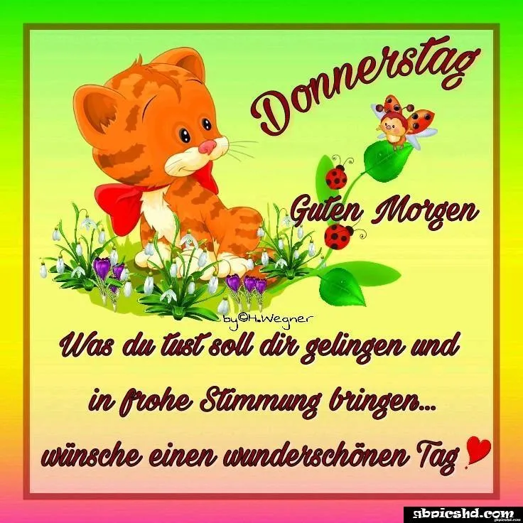 Ein orangefarbiger Kater sitzt mit Blumen und Käfern auf buntem Hintergrund.