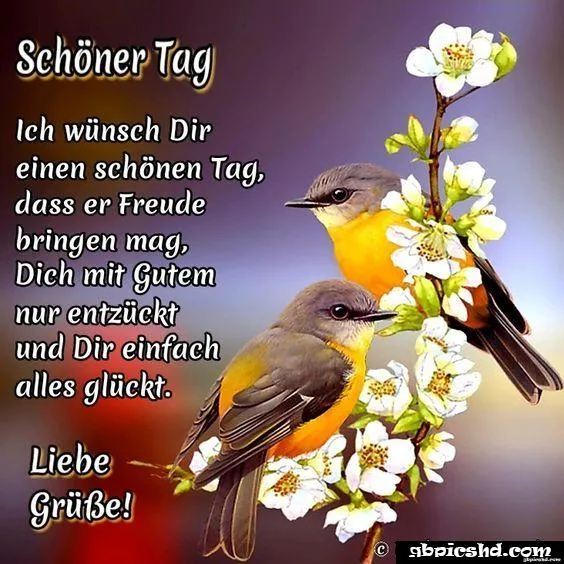 Zwei Vögel sitzen auf einer blühenden Pflanze, daneben steht ein fröhlicher Text.