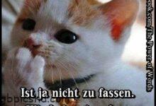 ᐅ guten morgen mittwoch lustige bilder - Wochentage Bilder GB Pics