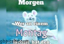 ᐅ guten morgen montag bilder lustig - Karneval GB Pics