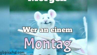 ᐅ guten morgen montag bilder lustig - Guten Morgen GB Pics