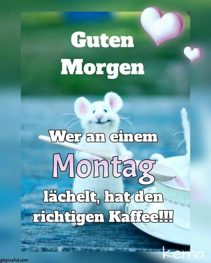 guten morgen montag bilder lustig