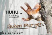 ᐅ guten morgen samstag spruche gutenmorgen gutenmorgensamstagspruche gutenmo 2 - Donnerstag GB Pics
