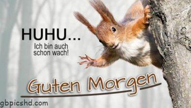ᐅ guten morgen samstag spruche gutenmorgen gutenmorgensamstagspruche gutenmo 2 - Guten Morgen GB Pics