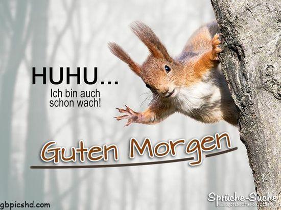 guten morgen samstag spruche gutenmorgen gutenmorgensamstagspruche gutenmo 2