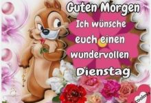 ᐅ guten morgen schönen dienstag bilder - Feste / Anlässe GB Pics