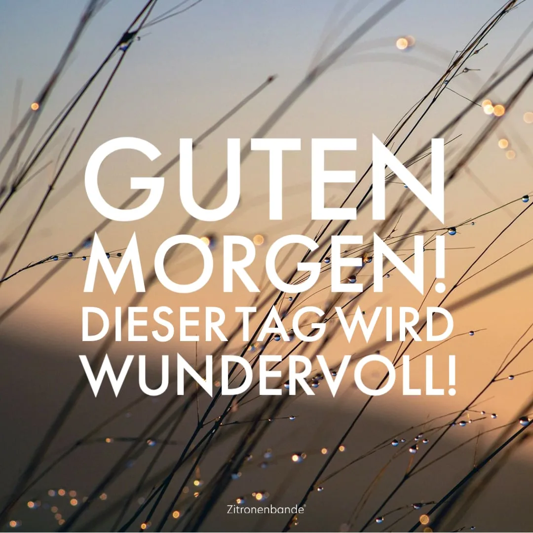 Hintergrund mit Sonnenstrahlen auf Gras; Text: Guten Morgen! Dieser Tag wird wunder-voll!