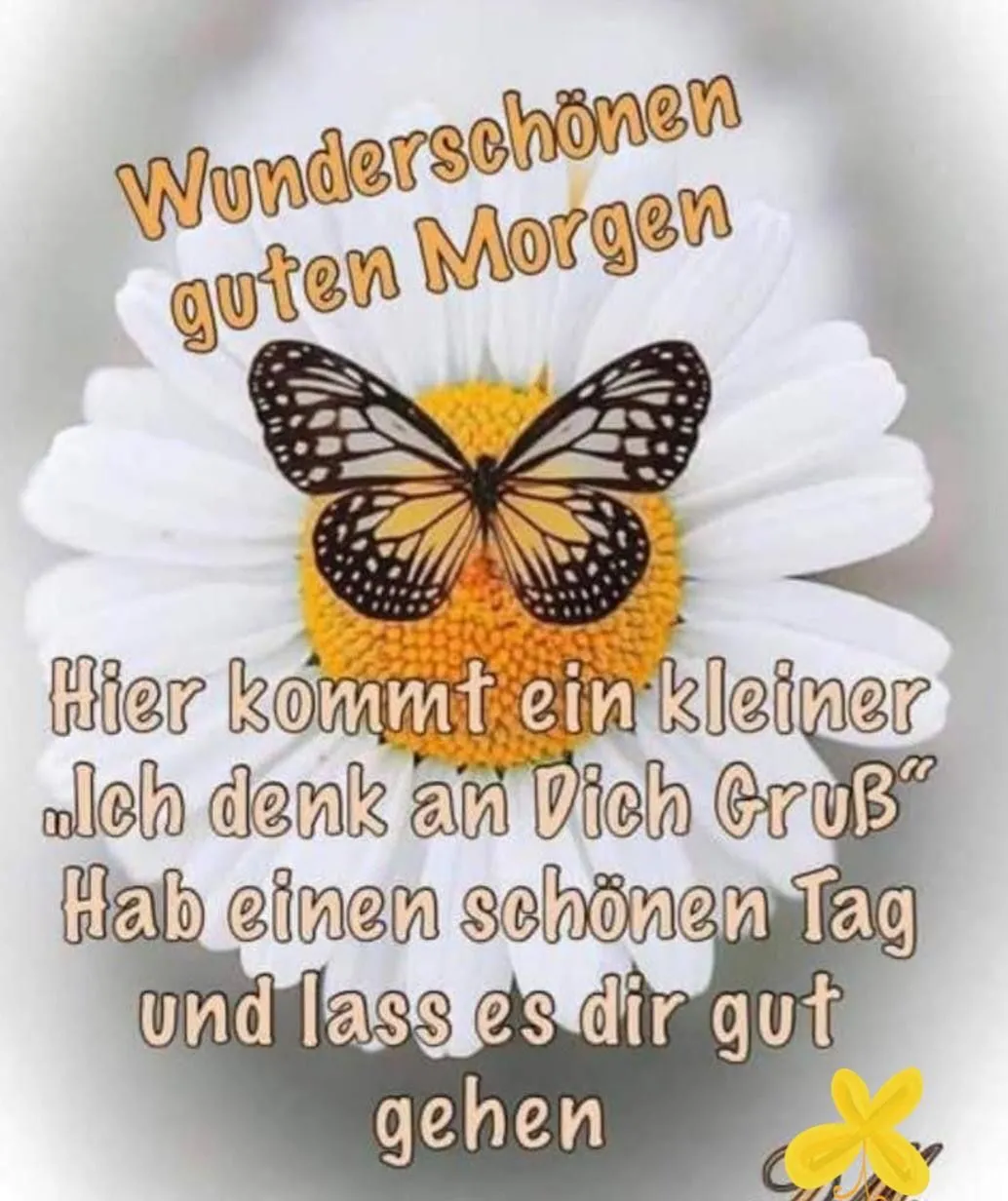 Eine Blume mit einer Schmetterling, dazu der Text „Guten Morgen“ und ein Gruß.