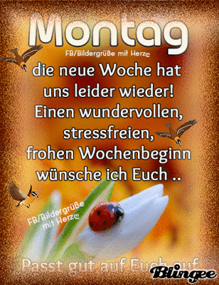 ᐅ guten morgen spruche montag 3 - Guten Morgen GB Pics guten morgen spruche montag 3