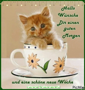 Guten Morgen Woche