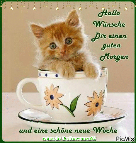 ᐅ Guten Morgen Woche - Guten Morgen GB Pics Guten Morgen Woche